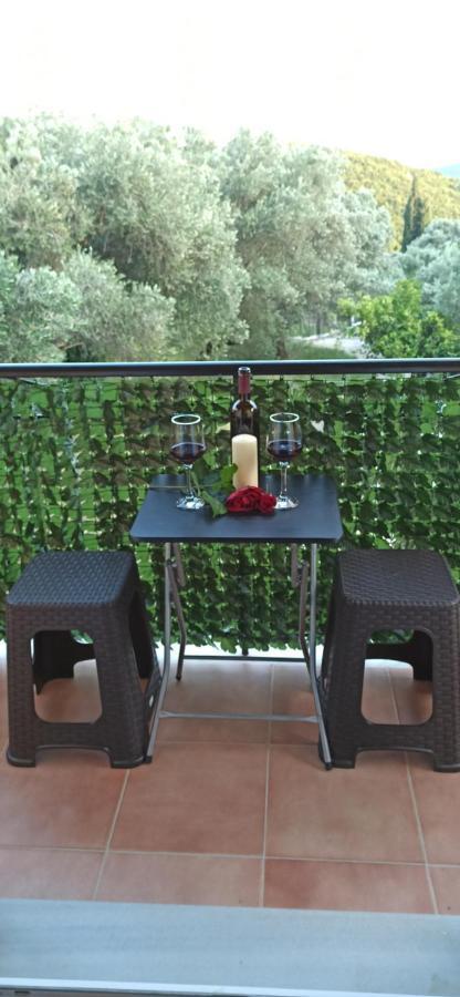 Tsoukias House Διαμέρισμα Παλαιοκαστρίτσα Εξωτερικό φωτογραφία